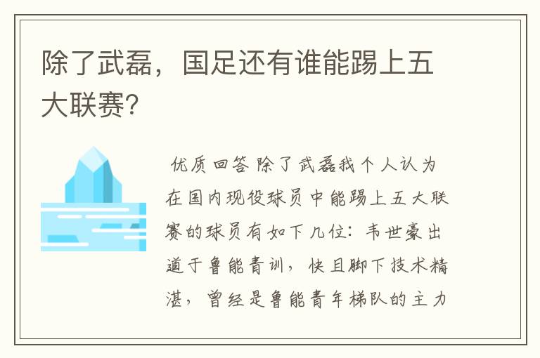 除了武磊，国足还有谁能踢上五大联赛？