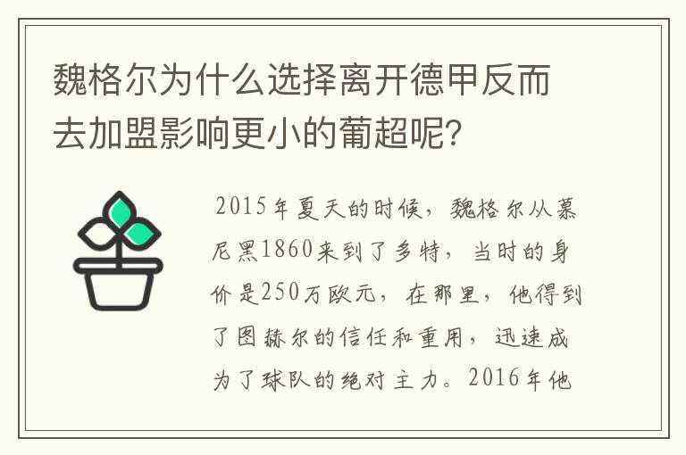 魏格尔为什么选择离开德甲反而去加盟影响更小的葡超呢？