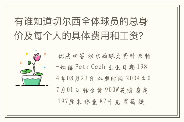 有谁知道切尔西全体球员的总身价及每个人的具体费用和工资？