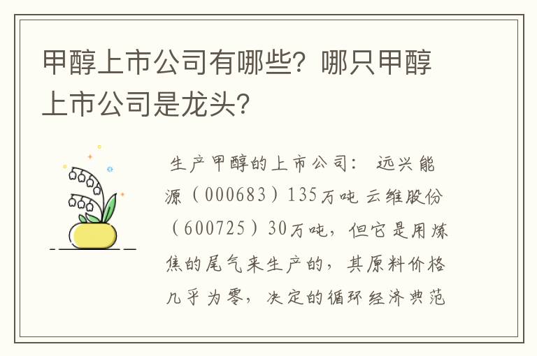 甲醇上市公司有哪些？哪只甲醇上市公司是龙头？