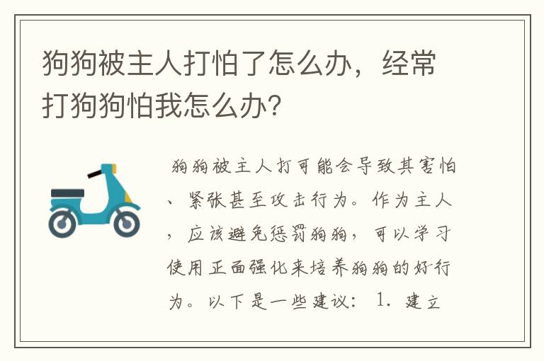 狗狗被主人打怕了怎么办，经常打狗狗怕我怎么办？