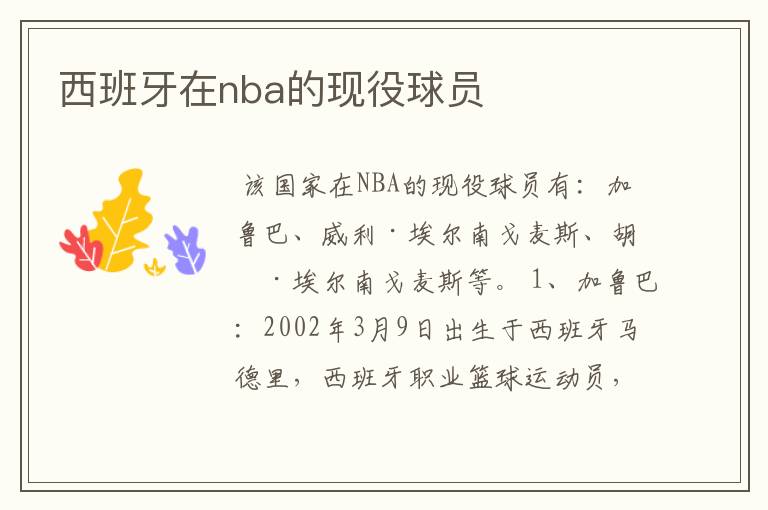 西班牙在nba的现役球员