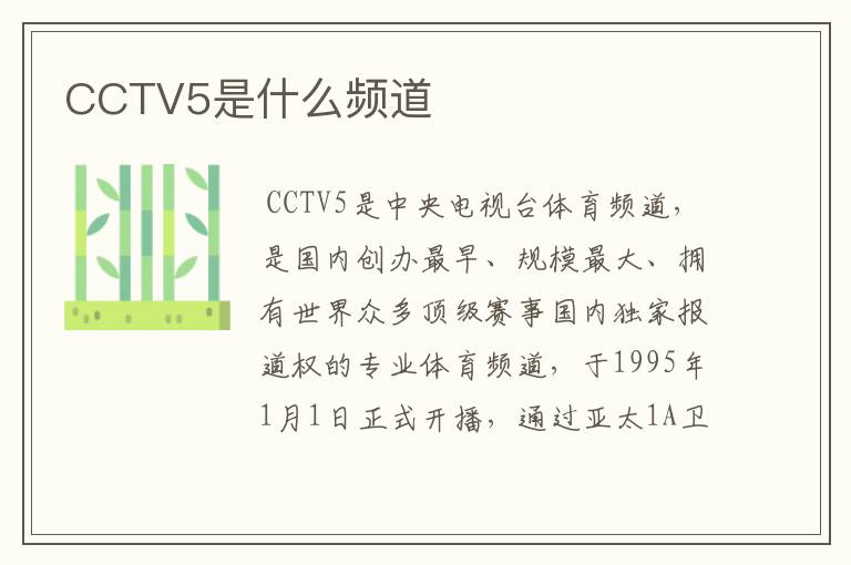 CCTV5是什么频道