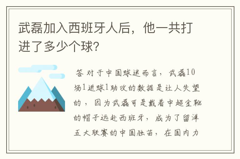 武磊加入西班牙人后，他一共打进了多少个球？