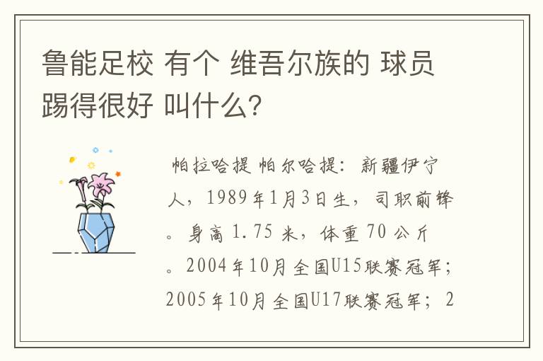 鲁能足校 有个 维吾尔族的 球员踢得很好 叫什么？