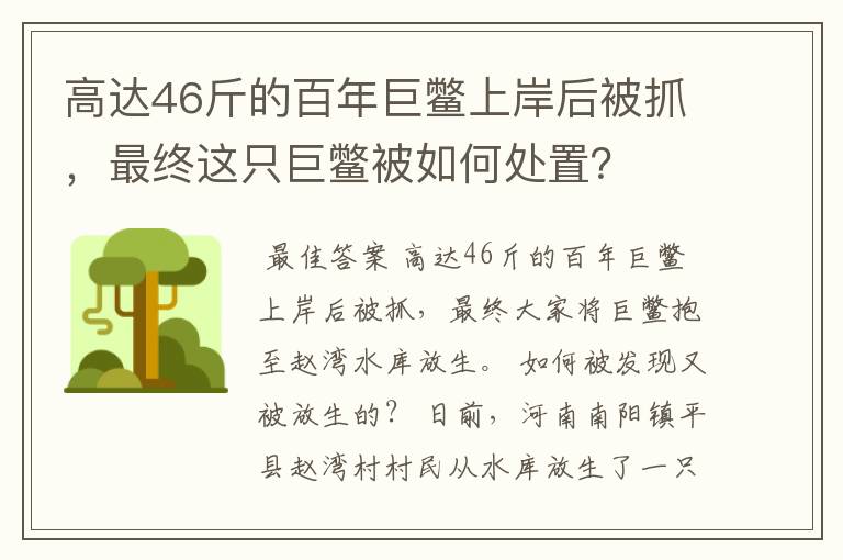 高达46斤的百年巨鳖上岸后被抓，最终这只巨鳖被如何处置？