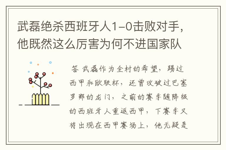 武磊绝杀西班牙人1-0击败对手，他既然这么厉害为何不进国家队？