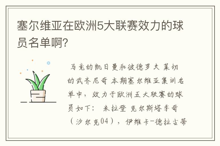 塞尔维亚在欧洲5大联赛效力的球员名单啊？