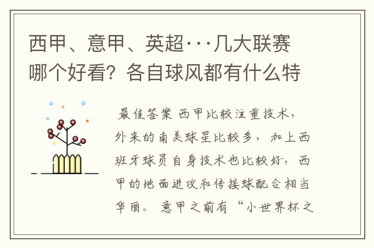 西甲、意甲、英超···几大联赛哪个好看？各自球风都有什么特征？