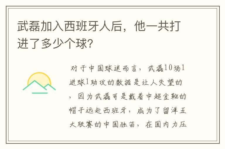 武磊加入西班牙人后，他一共打进了多少个球？