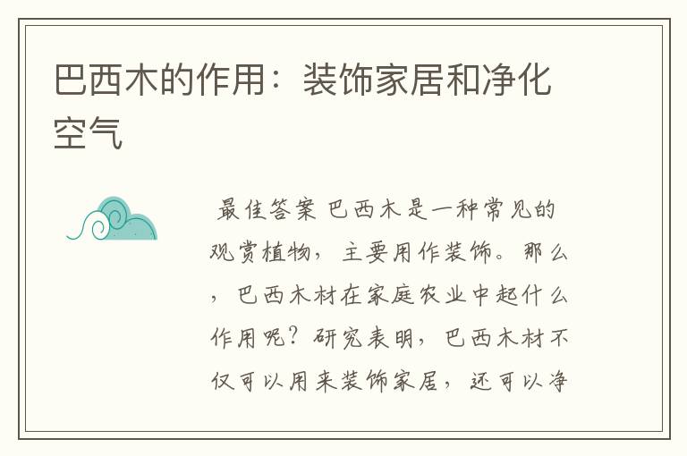 巴西木的作用：装饰家居和净化空气