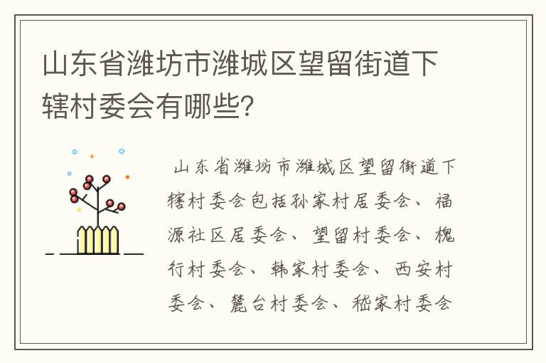 山东省潍坊市潍城区望留街道下辖村委会有哪些？