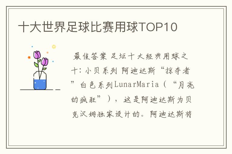 十大世界足球比赛用球TOP10