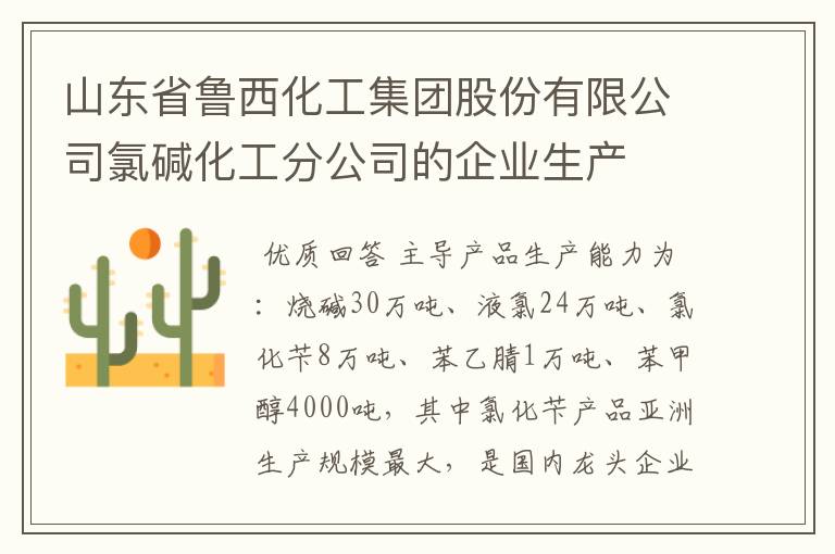 山东省鲁西化工集团股份有限公司氯碱化工分公司的企业生产