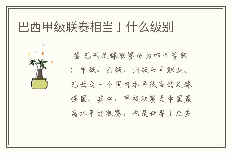 巴西甲级联赛相当于什么级别