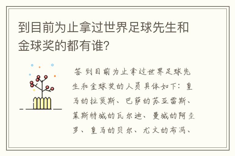 到目前为止拿过世界足球先生和金球奖的都有谁？