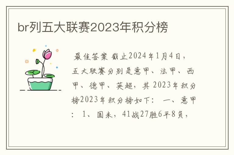 br列五大联赛2023年积分榜