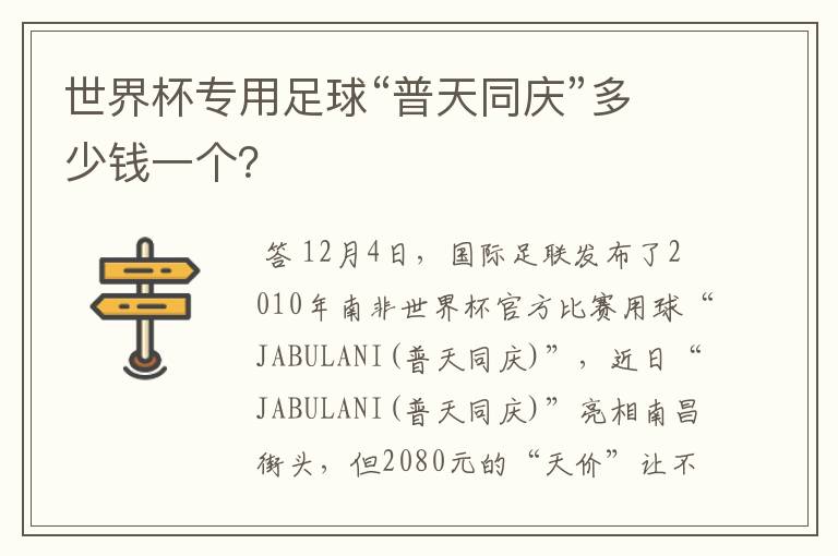 世界杯专用足球“普天同庆”多少钱一个？