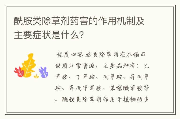 酰胺类除草剂药害的作用机制及主要症状是什么？