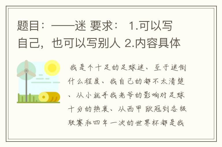 题目：——迷 要求： 1.可以写自己，也可以写别人 2.内容具体，努力反映出人物特点 3.不少于350字