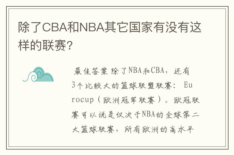 除了CBA和NBA其它国家有没有这样的联赛?