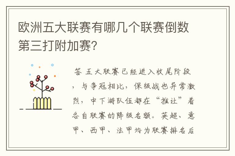 欧洲五大联赛有哪几个联赛倒数第三打附加赛？