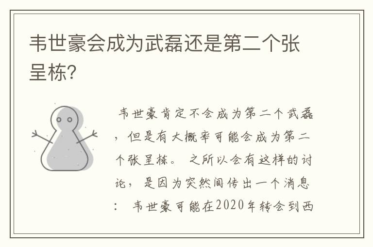 韦世豪会成为武磊还是第二个张呈栋？