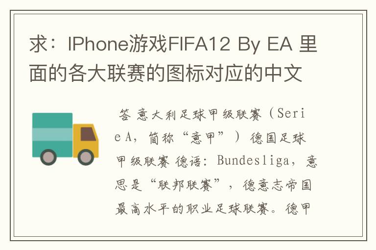 求：IPhone游戏FIFA12 By EA 里面的各大联赛的图标对应的中文名称 例如：Liga BBVA 西甲