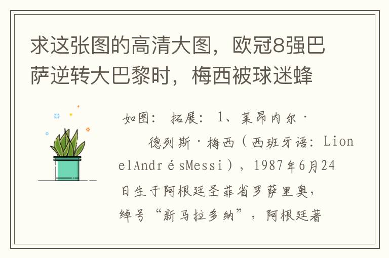 求这张图的高清大图，欧冠8强巴萨逆转大巴黎时，梅西被球迷蜂拥膜拜的那张图