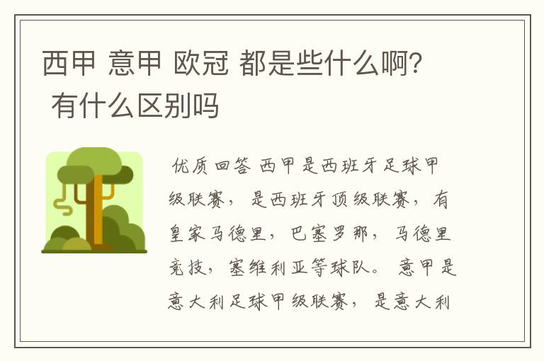 西甲 意甲 欧冠 都是些什么啊？ 有什么区别吗