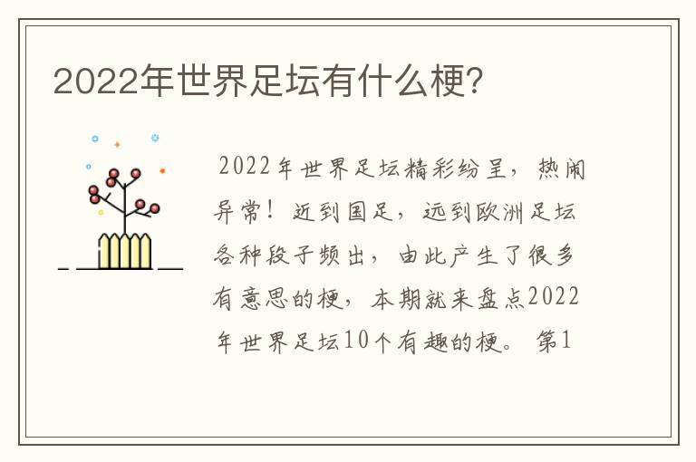 2022年世界足坛有什么梗？