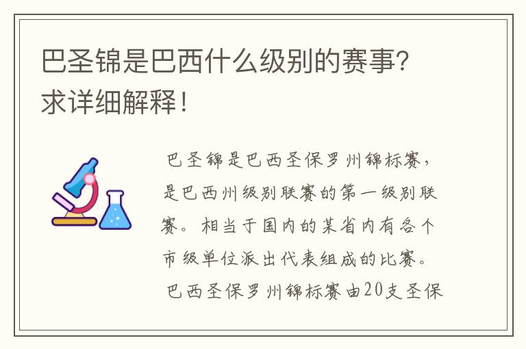 巴圣锦是巴西什么级别的赛事？求详细解释！