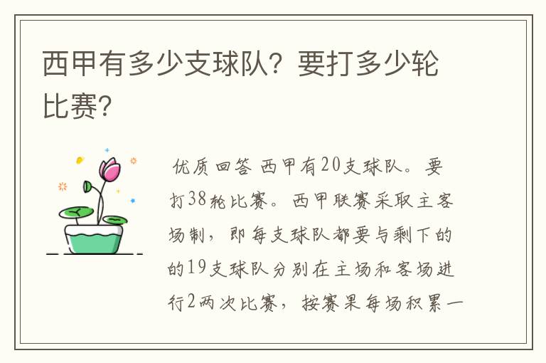 西甲有多少支球队？要打多少轮比赛？