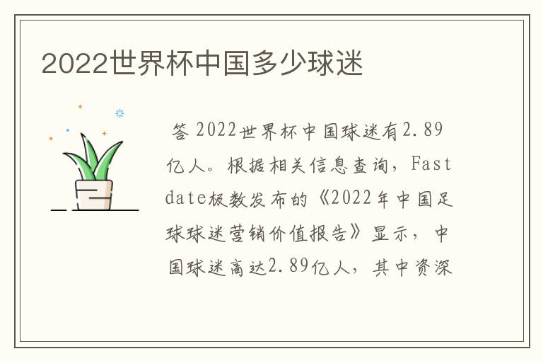 2022世界杯中国多少球迷