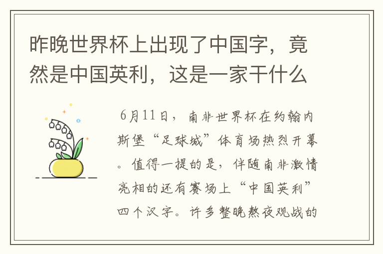 昨晚世界杯上出现了中国字，竟然是中国英利，这是一家干什么的公司啊？