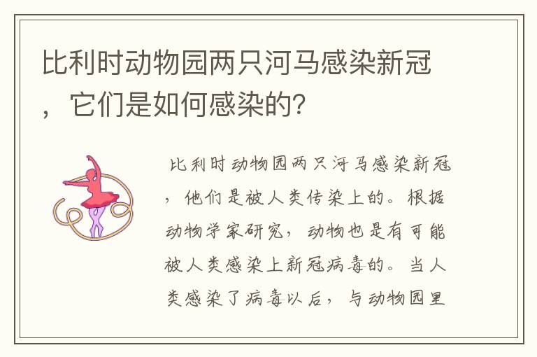 比利时动物园两只河马感染新冠，它们是如何感染的？