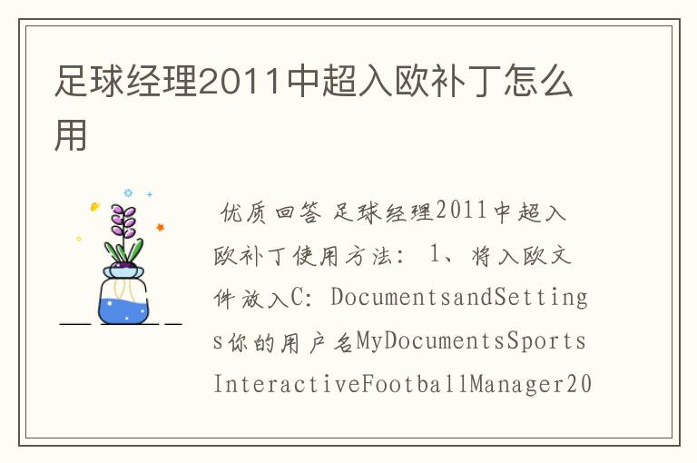 足球经理2011中超入欧补丁怎么用