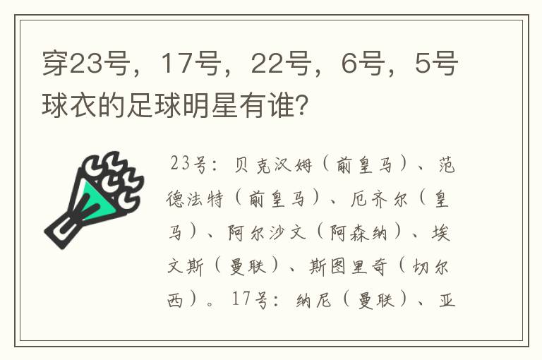 穿23号，17号，22号，6号，5号球衣的足球明星有谁？