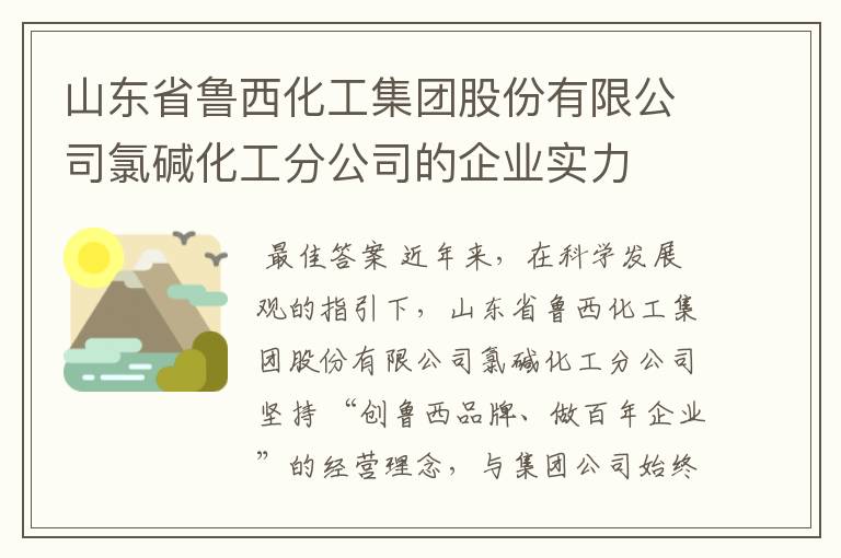 山东省鲁西化工集团股份有限公司氯碱化工分公司的企业实力