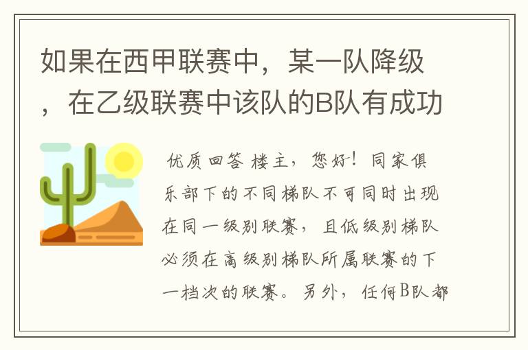 如果在西甲联赛中，某一队降级，在乙级联赛中该队的B队有成功升级，那么第二年的联赛将会怎么样呢？