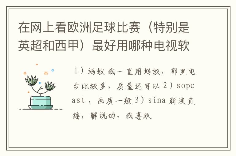 在网上看欧洲足球比赛（特别是英超和西甲）最好用哪种电视软件呢？