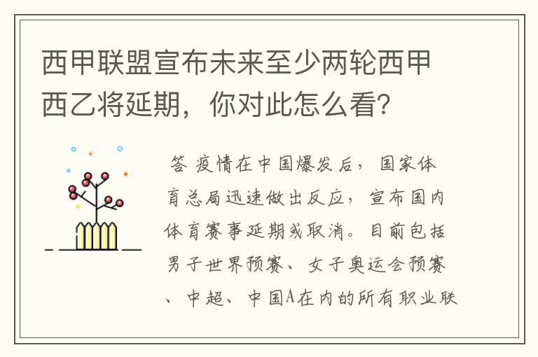 西甲联盟宣布未来至少两轮西甲西乙将延期，你对此怎么看？