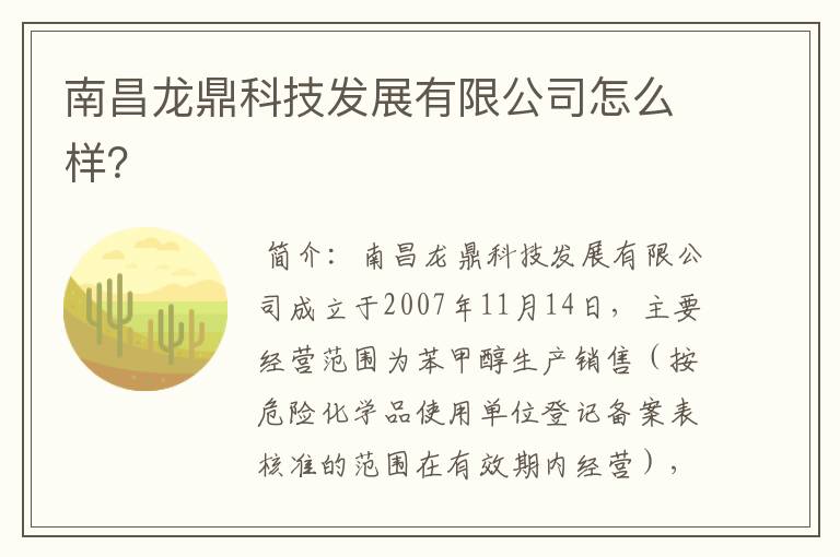 南昌龙鼎科技发展有限公司怎么样？