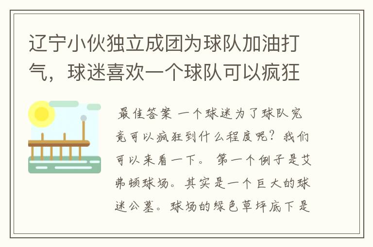 辽宁小伙独立成团为球队加油打气，球迷喜欢一个球队可以疯狂到什么程度？