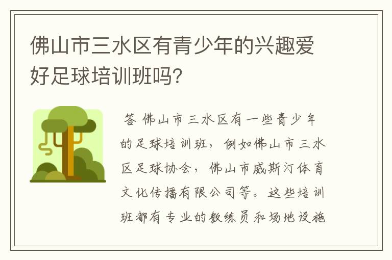 佛山市三水区有青少年的兴趣爱好足球培训班吗？