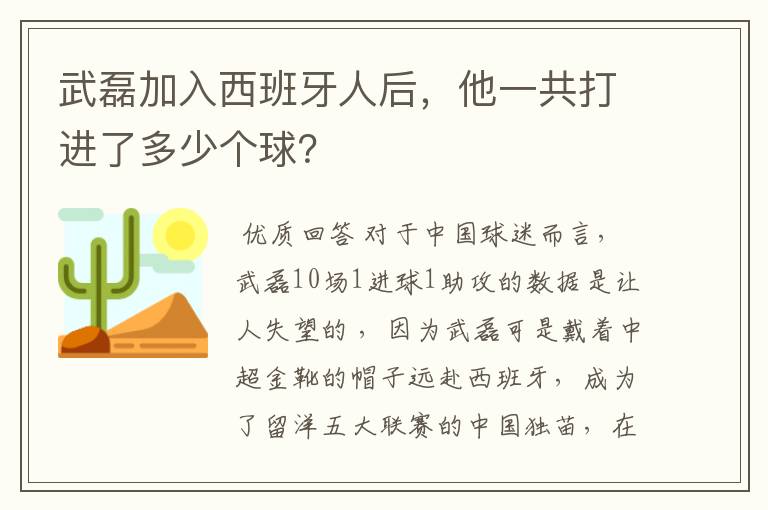 武磊加入西班牙人后，他一共打进了多少个球？