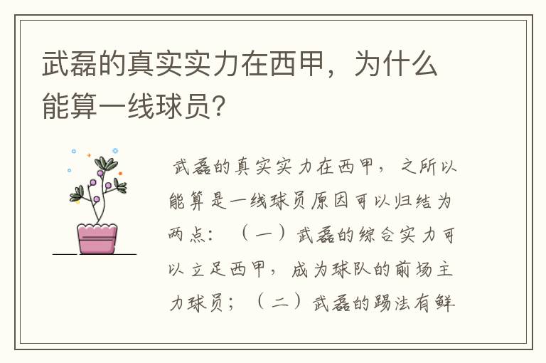 武磊的真实实力在西甲，为什么能算一线球员？