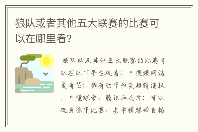 狼队或者其他五大联赛的比赛可以在哪里看？