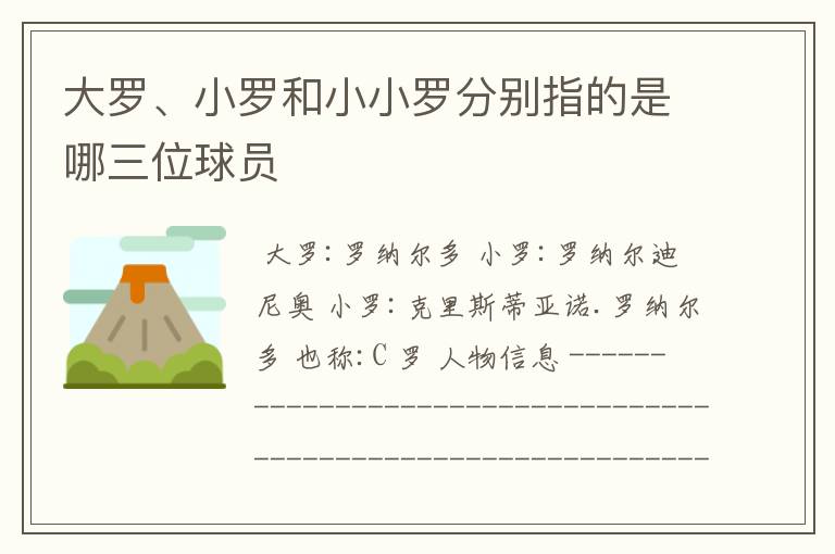 大罗、小罗和小小罗分别指的是哪三位球员