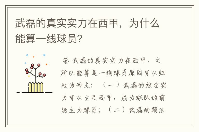 武磊的真实实力在西甲，为什么能算一线球员？